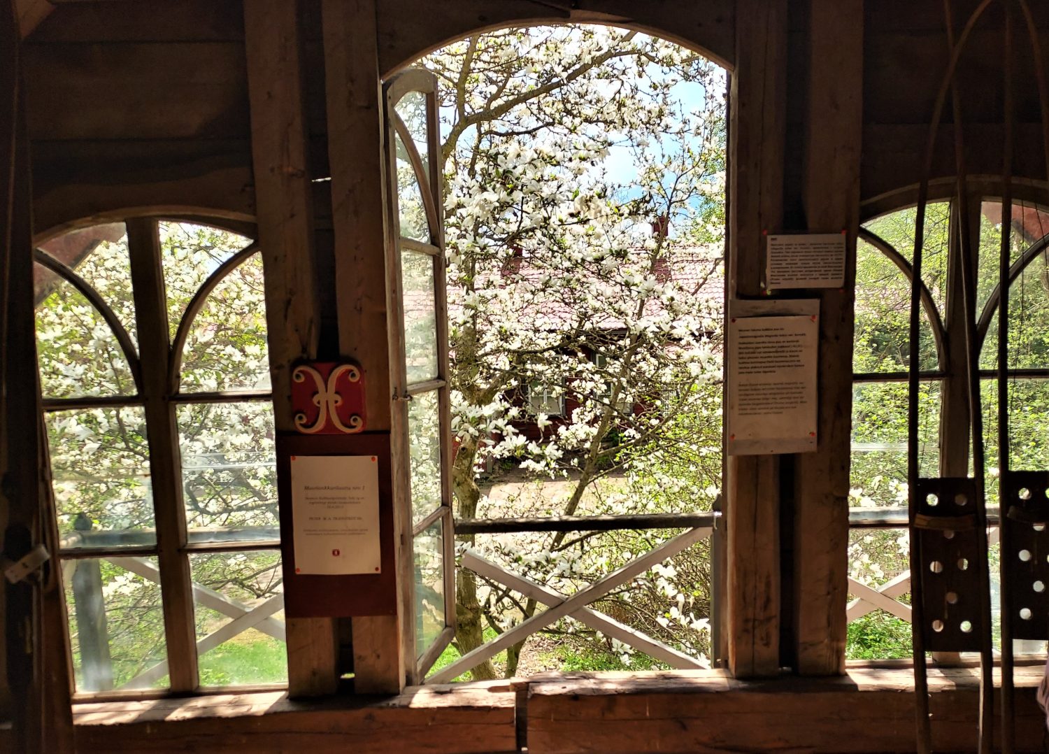 Arboretum mustila