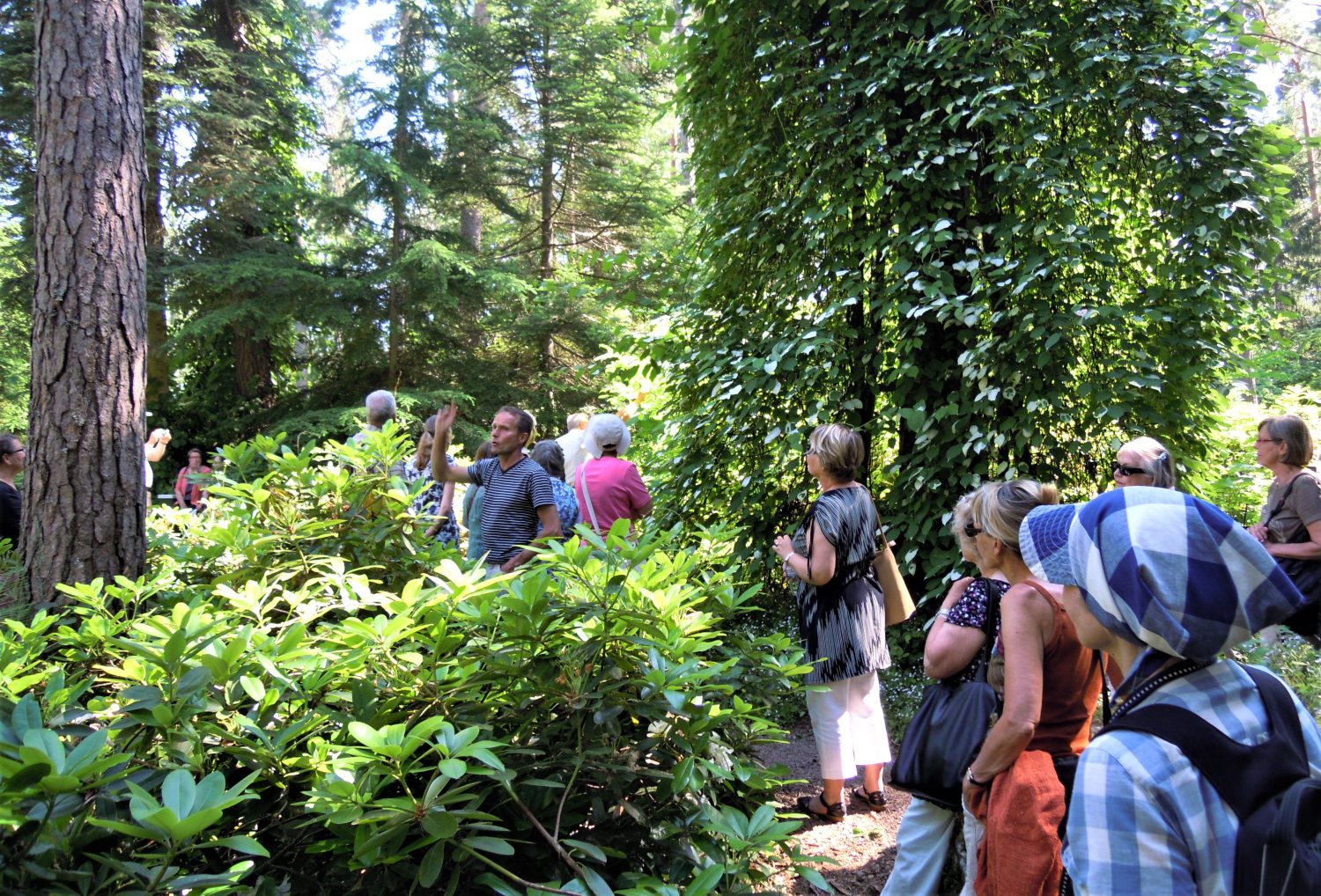 opastuskierros arboretum mustila