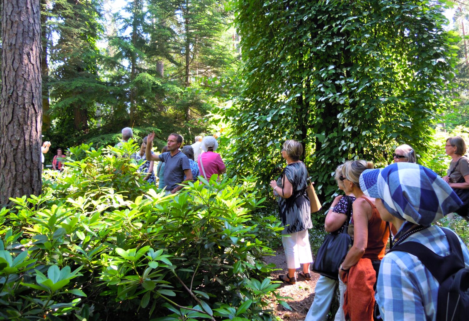 Arboretum Mustilan Taimipäivä kokoaa 11. kerran kotien ja puutarhojen kasvien harrastajat Elimäelle 1 Arboretum Mustilan Taimipäivä kokoaa 11. kerran kotien ja puutarhojen kasvien harrastajat Elimäelle 1
