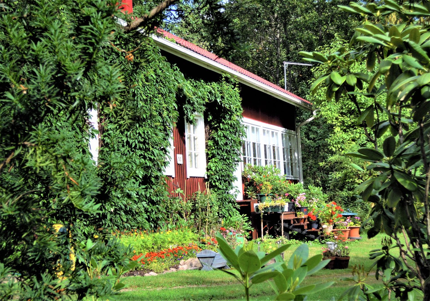 Pihanäkymä Arboretum Mustilasta