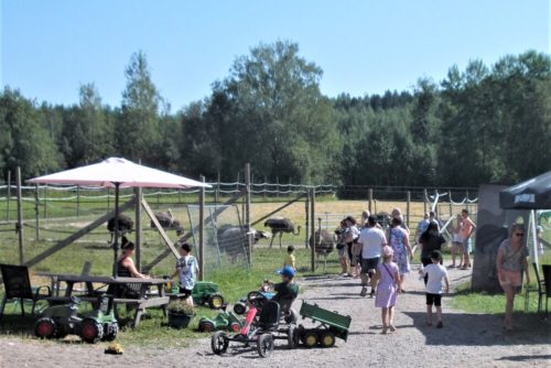 Kilkkilän farmi