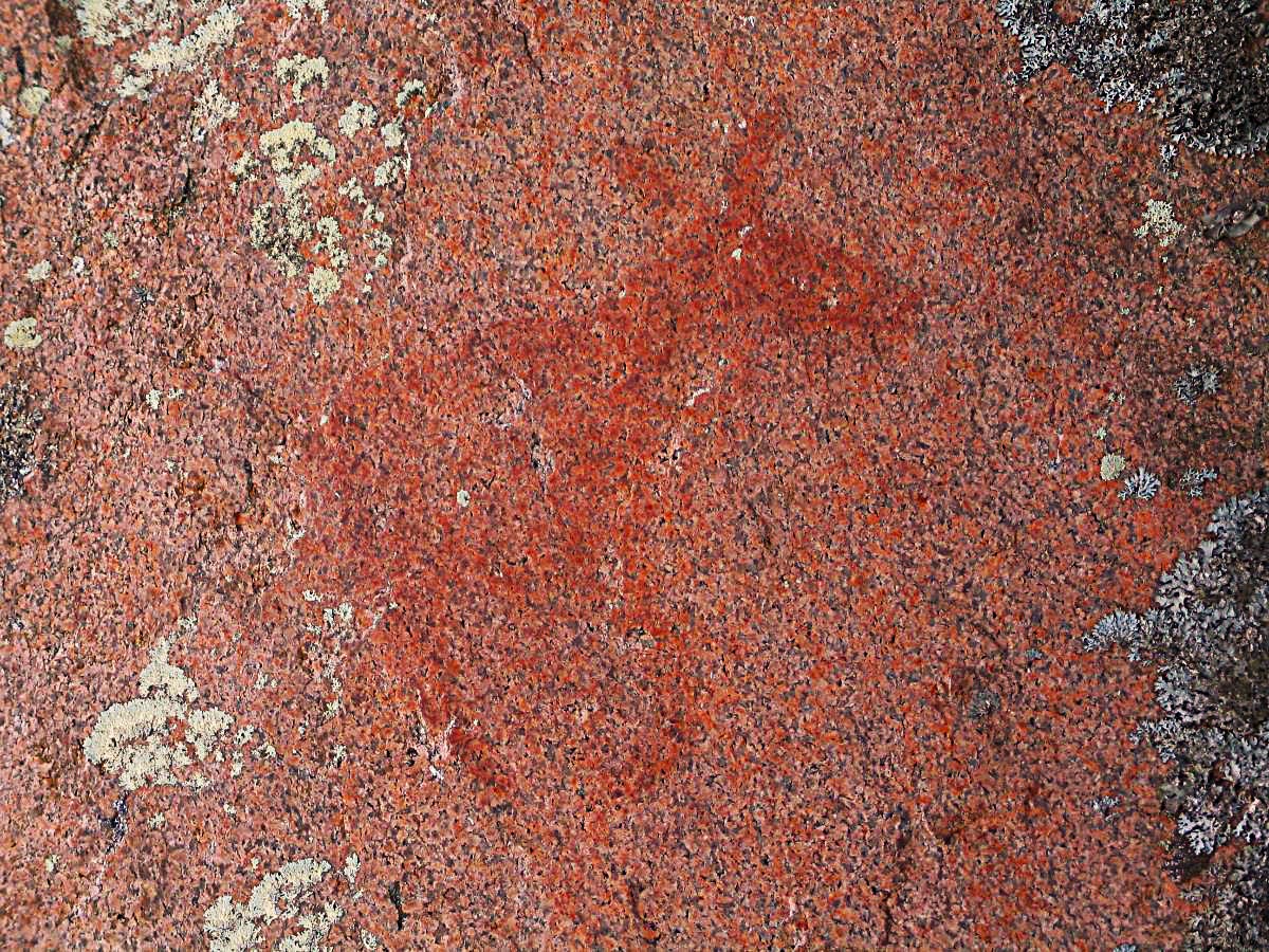 Jean Sibelius löysi 1911 maamme ensimmäisen aidoksi todennetun ikivanhan kalliomaalauksen 1