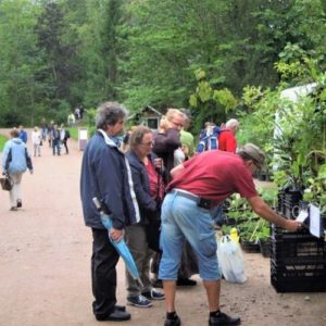 Mustila Arboretum