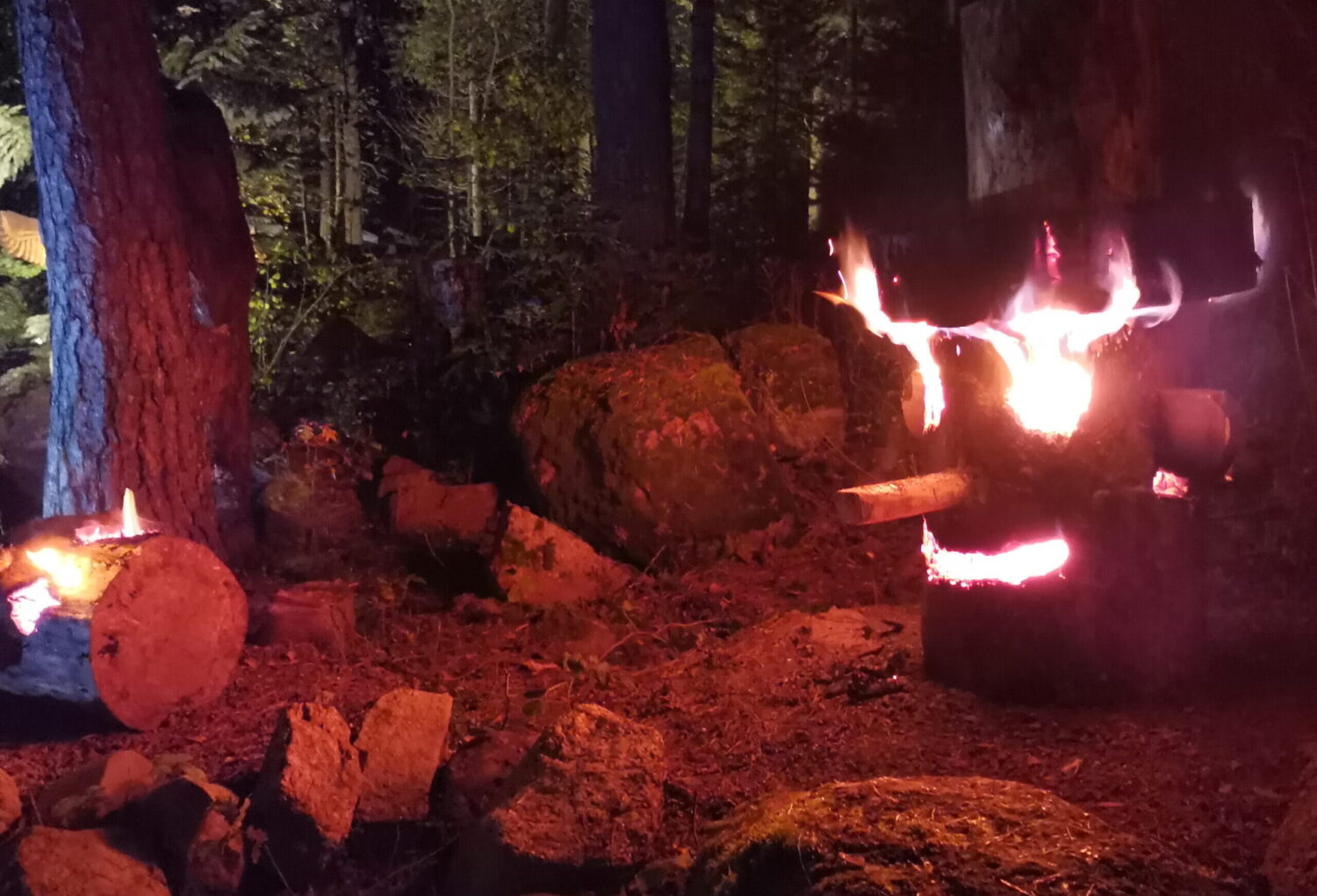 Arboretum Mustilan satumetsä avautuu lauantaina 27.9.2025 klo 18-21 syysillan luonto- ja taide-elämyksille. Viime vuonna tapahtumaan osallistui 700 kävijää. 1 Arboretum Mustilan satumetsä avautuu lauantaina 27.9.2025 klo 18-21 syysillan luonto- ja taide-elämyksille. Viime vuonna tapahtumaan osallistui 700 kävijää. 1